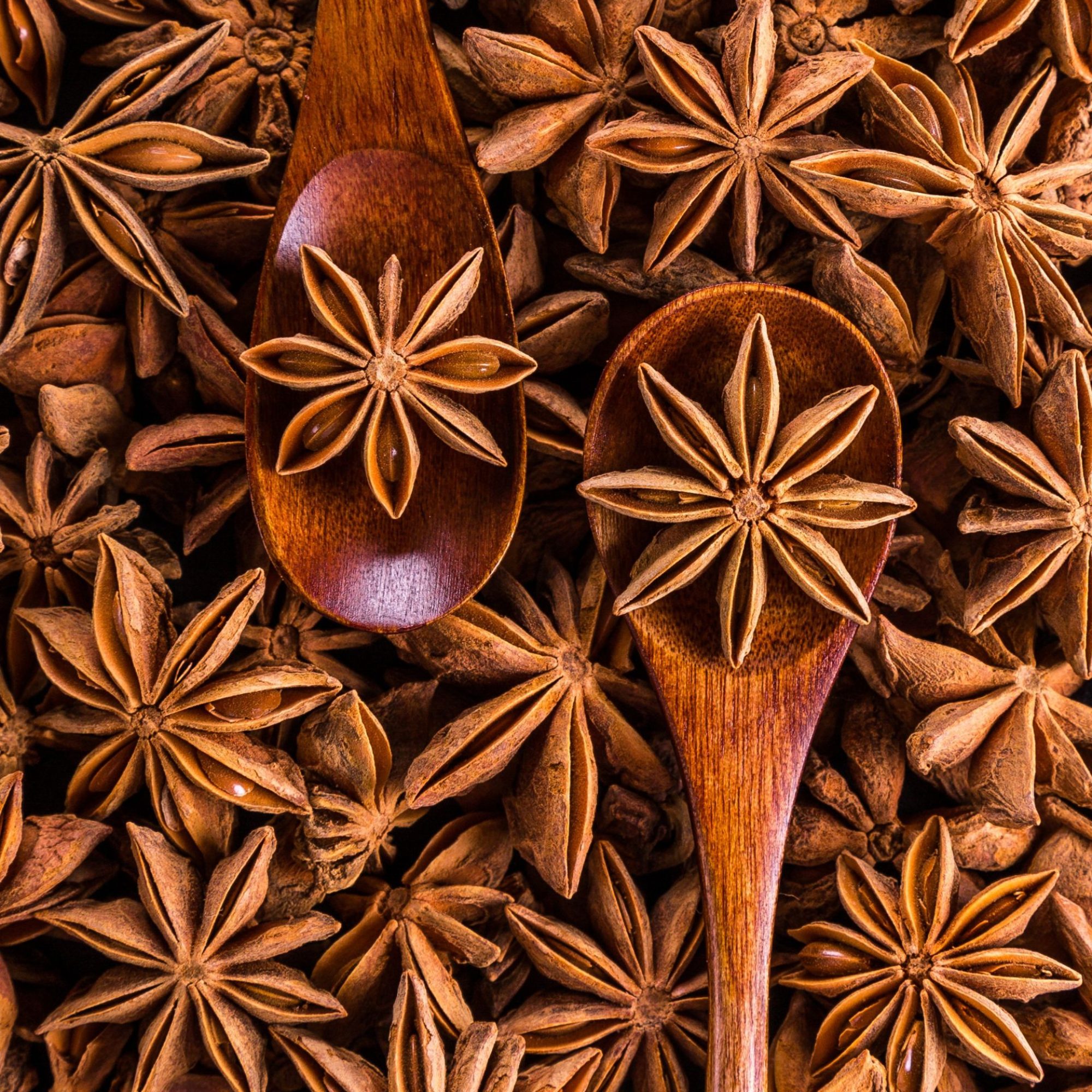 Star anise (2)