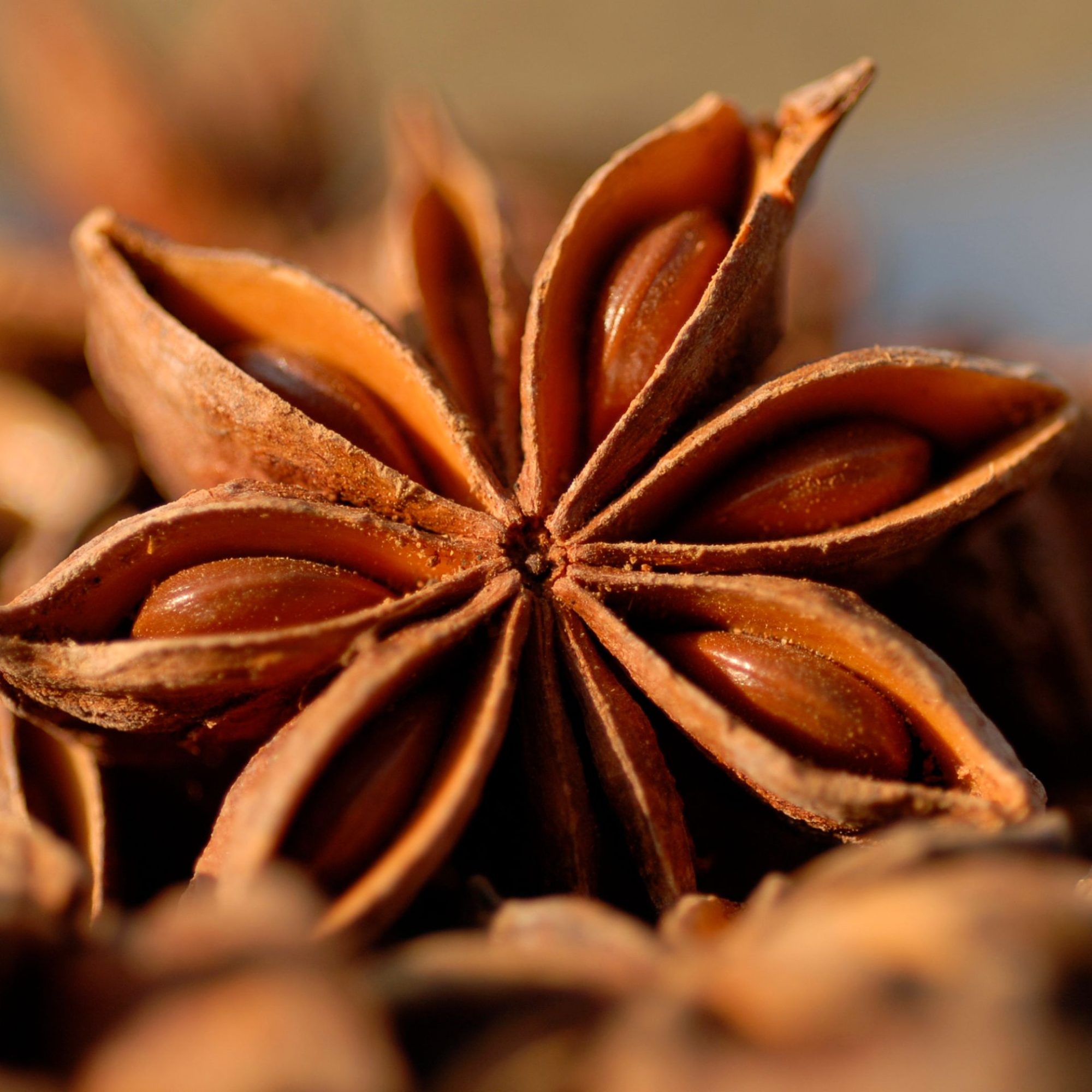 Star anise